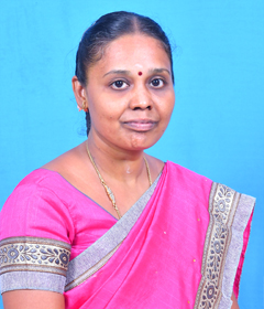 Deputy Controller of Examinations